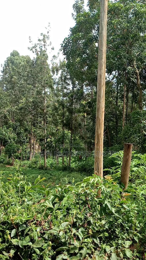 1/4 Acre Piece of Land for Sale