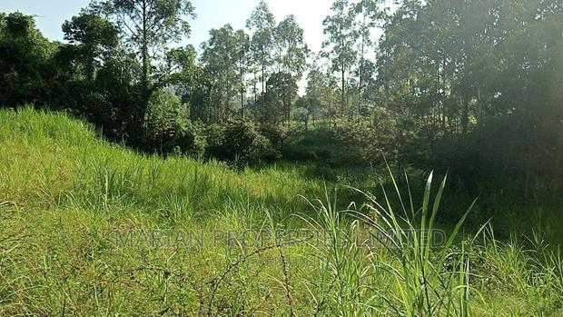 Prime Plot for Sale