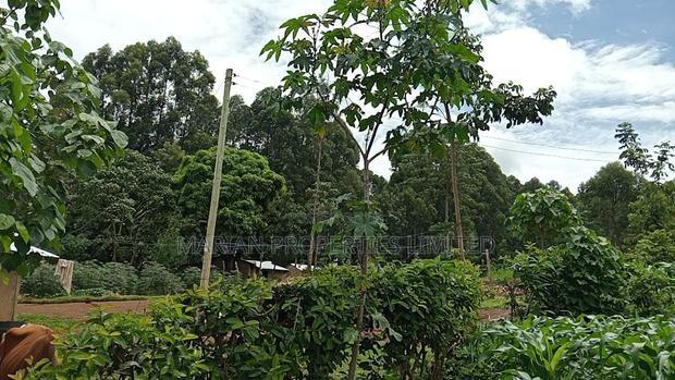 50*100 Plots for Sale at Handidi Kakamega