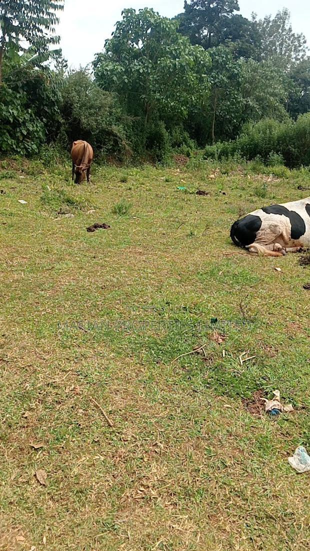 0.5 Acres in Kakamega