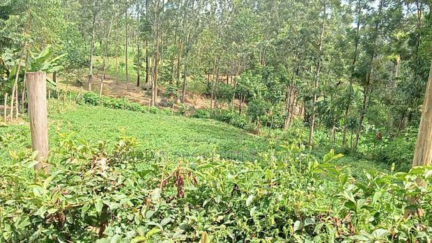 1/4 Acre Piece of Land for Sale