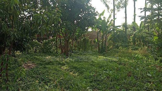 3bdrm House in Ikonyero, Sheywe for sale
