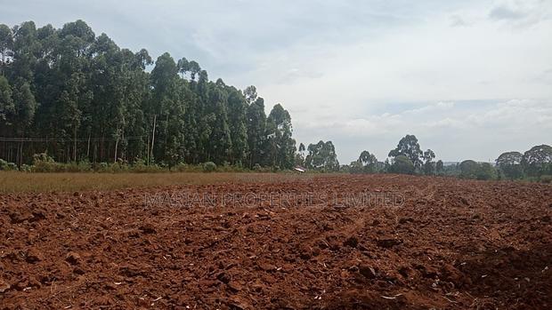 6 Acres for Sale in Kakamega County