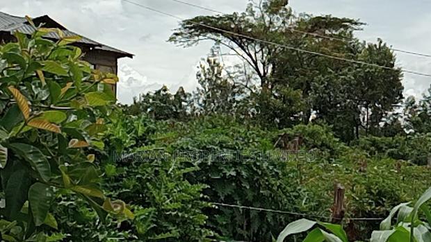 50*100 Plots for Sale at Handidi Kakamega