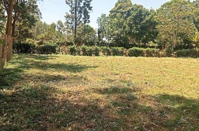 1/8 Acre in Kakamega Irumbi