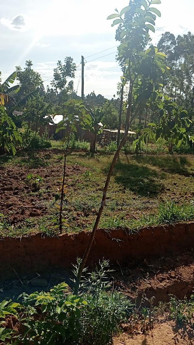 Land for Sale in Malava