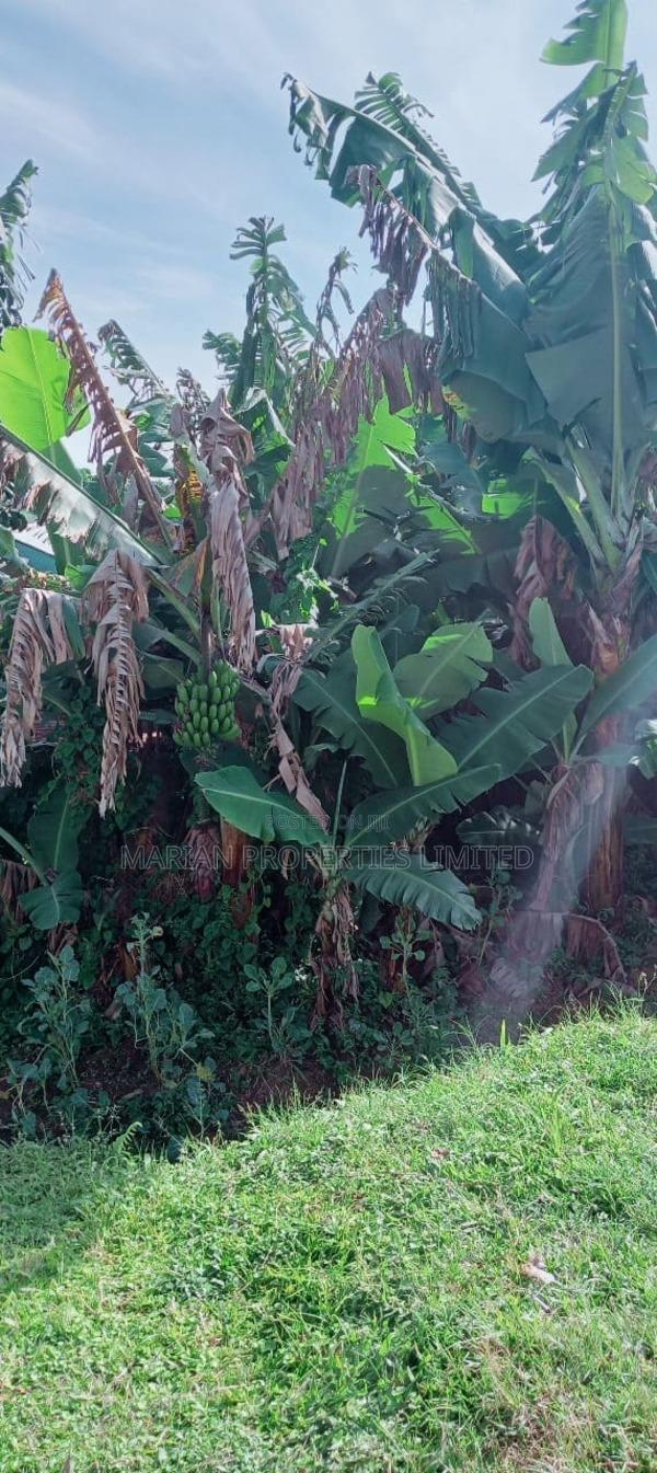 3bdrm Bungalow in Koromatangi, Sheywe for sale