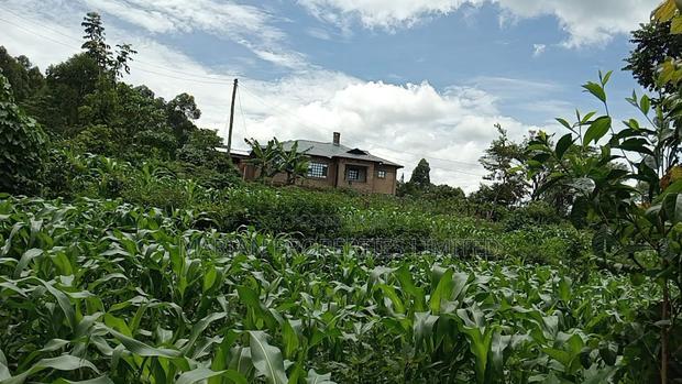 50*100 Plots for Sale at Handidi Kakamega