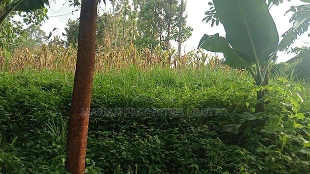 3bdrm House in Ikonyero, Sheywe for sale