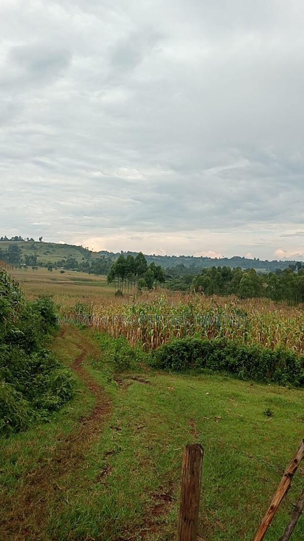 85 Acres for Sale in Soy-Kakamega