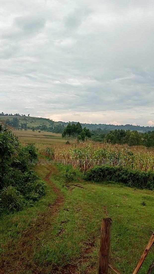 85 Acres for Sale in Soy-Kakamega