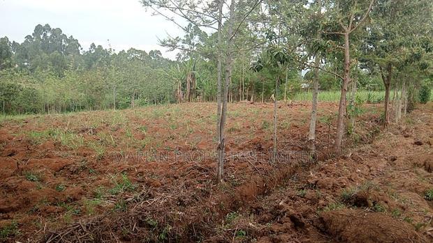 2 Acres for Sale in Kakamega