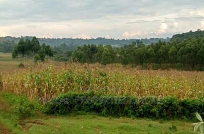 85 Acres for Sale in Soy-Kakamega