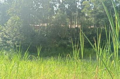Prime Plot for Sale