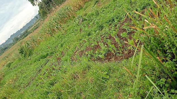 85 Acres for Sale in Soy-Kakamega