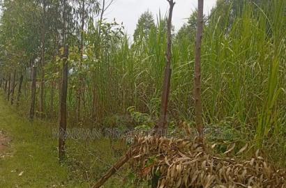 50*100 Plot in Harambee Kakamega