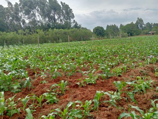 3/4 of an Acre in Bungoma County