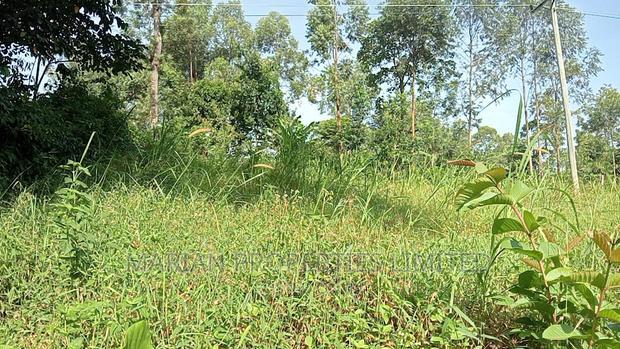 Prime Plot for Sale