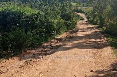 Land for Sale in Malava