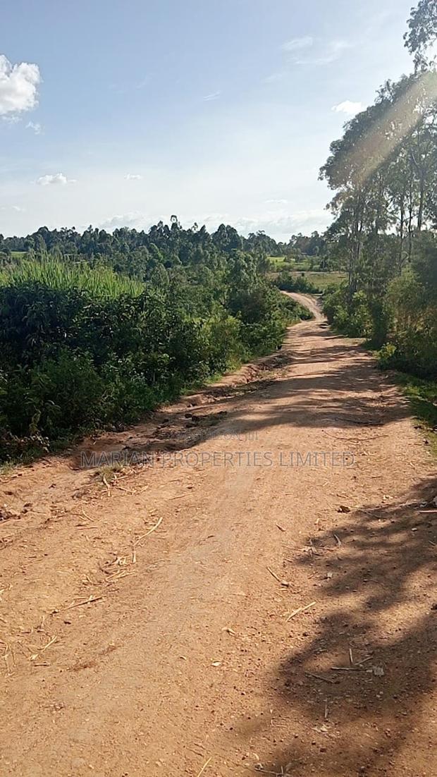Land for Sale in Malava