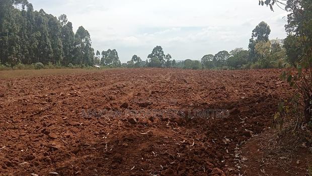 6 Acres for Sale in Kakamega County