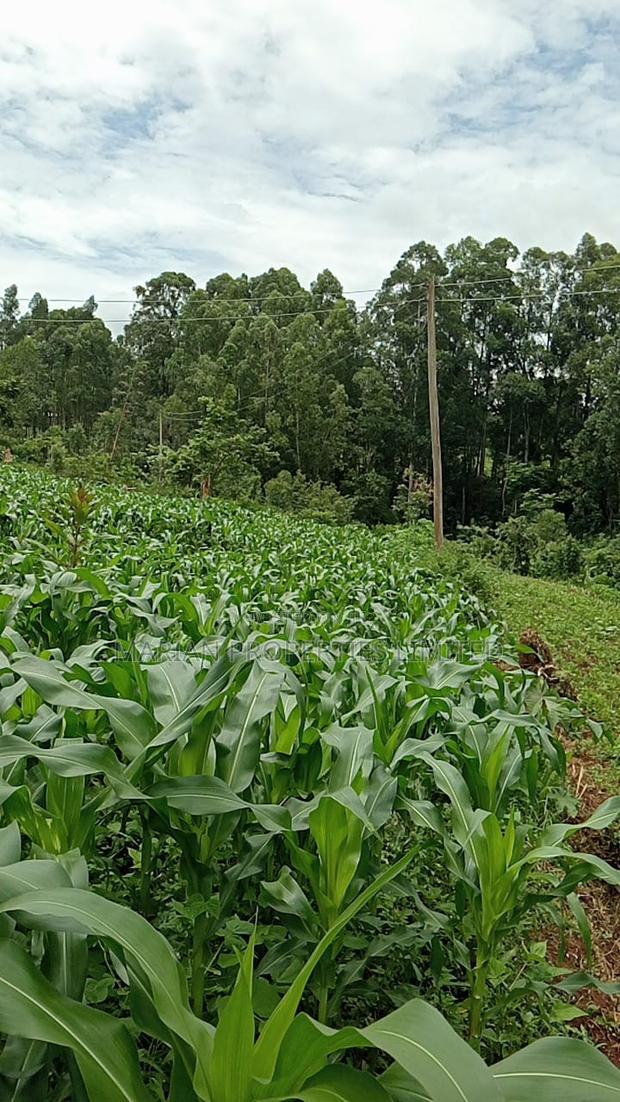 50*100 Plots for Sale at Handidi Kakamega
