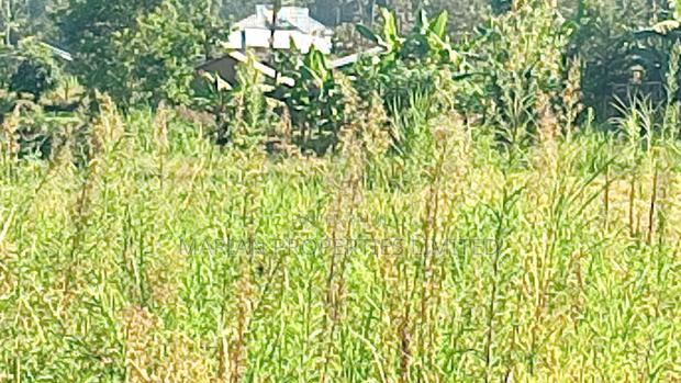0.5 Acres for Sale in Kakamega