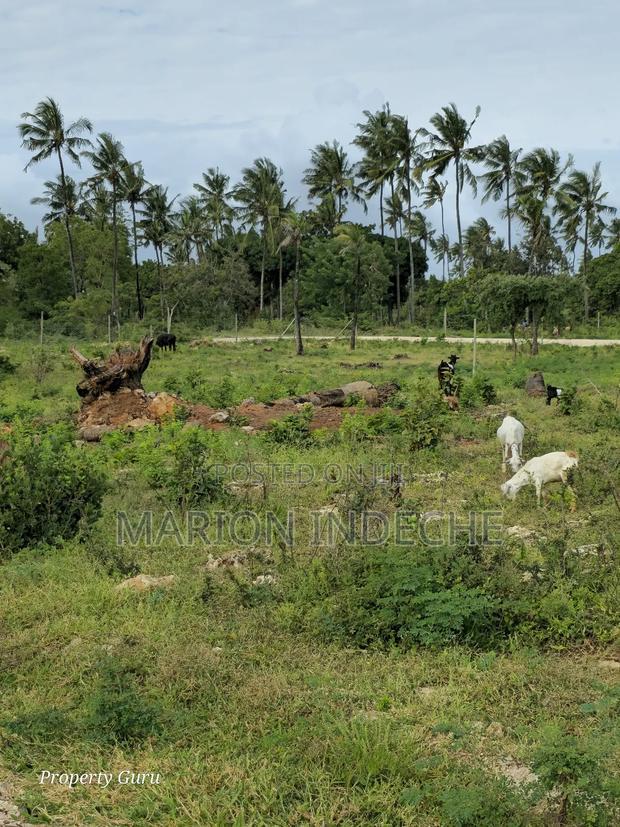 Kilifi Tezo Prime 50by100ft Plots for Sale