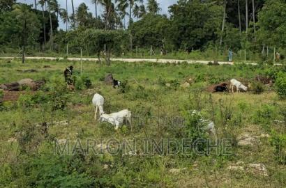 Kilifi Tezo Prime 50by100ft Plots for Sale