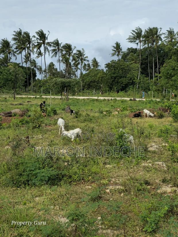 Kilifi Tezo Prime 50by100ft Plots for Sale