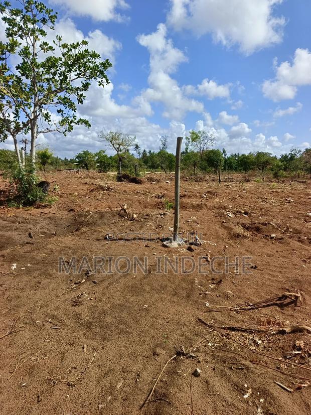 Rafiki 4 Extension 50x100ft Prime Plots for Sale!