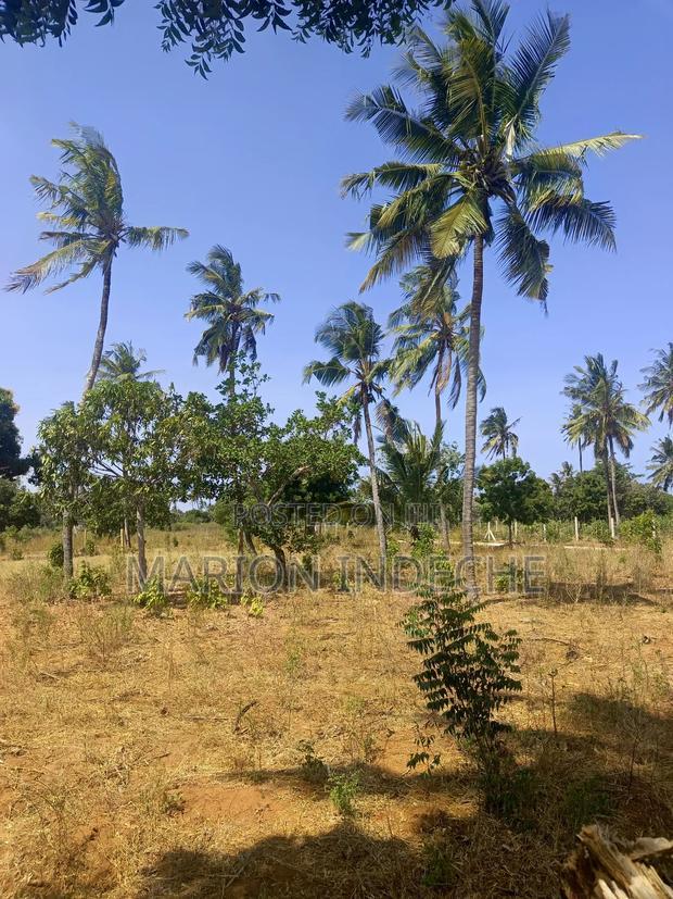 Invest in These 50*100ft Prime Plots for Sale in Kilifi
