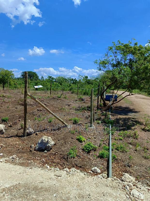 1/8th Acre Prime Plots for Sale in Kilifi Tezo