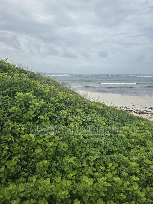 4 Acres Touching the Beach in Kilifi Chumani