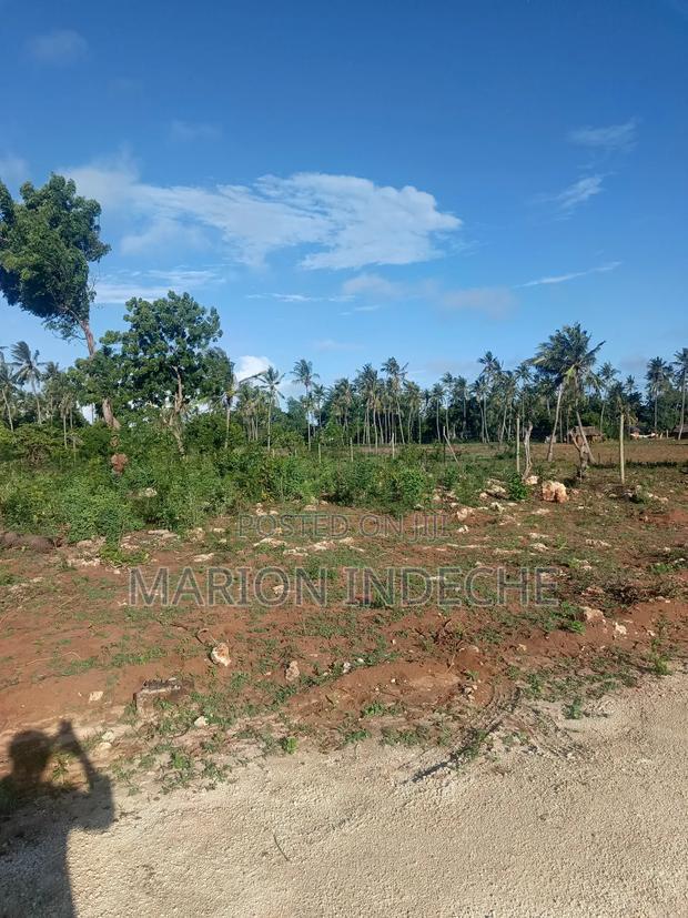 Own Prime 50*100 Plots for Sale in Kilifi