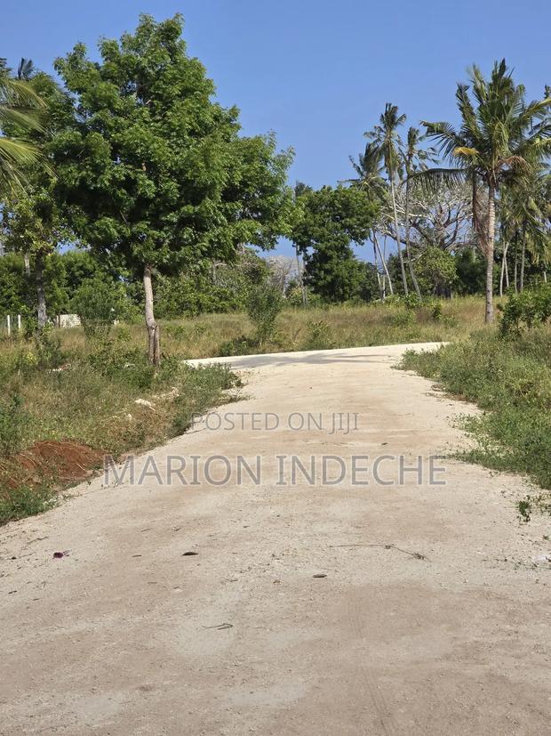 Prime Plots for Sale in Chumani (1/8th Acre)