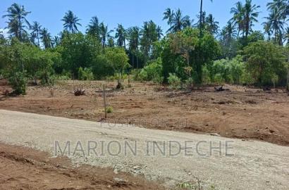Rafiki 4 Extension 50x100ft Prime Plots for Sale!