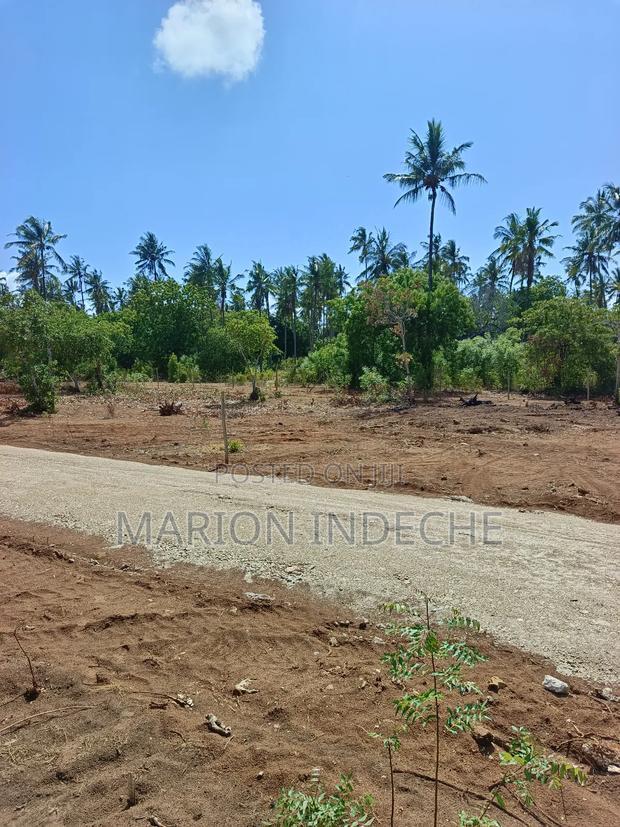 Rafiki 4 Extension 50x100ft Prime Plots for Sale!