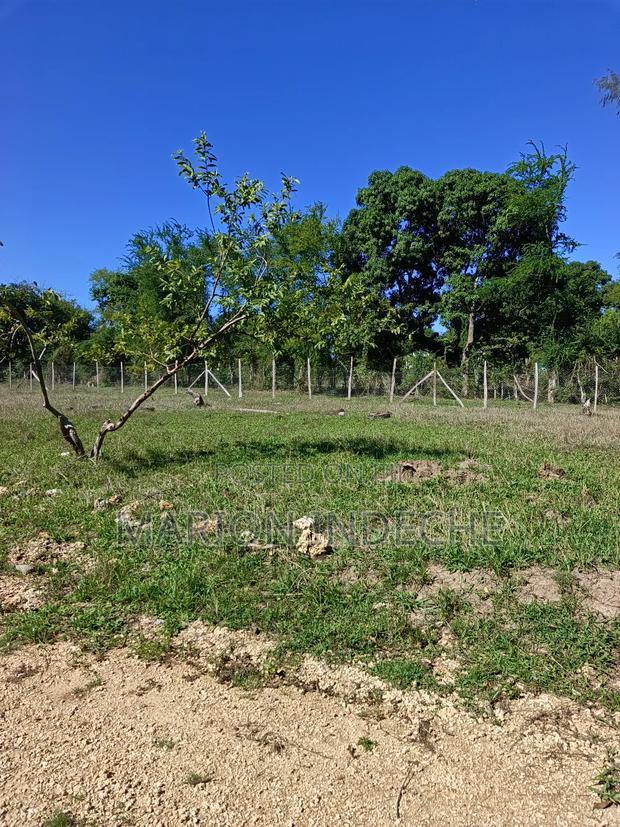 Prime Residential Plots for Sale in Mtwapa