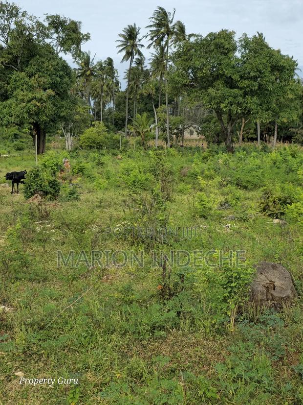 Kilifi Tezo Prime 50by100ft Plots for Sale