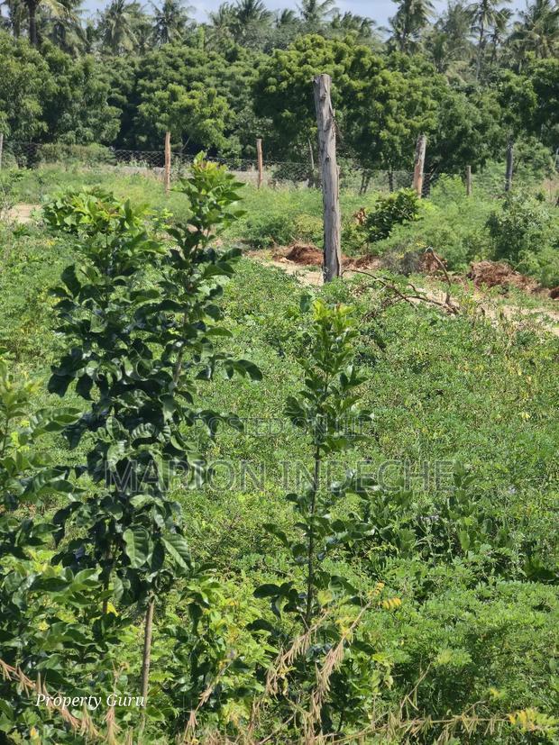 Prime 50by100ft Plots for Sale in ,000