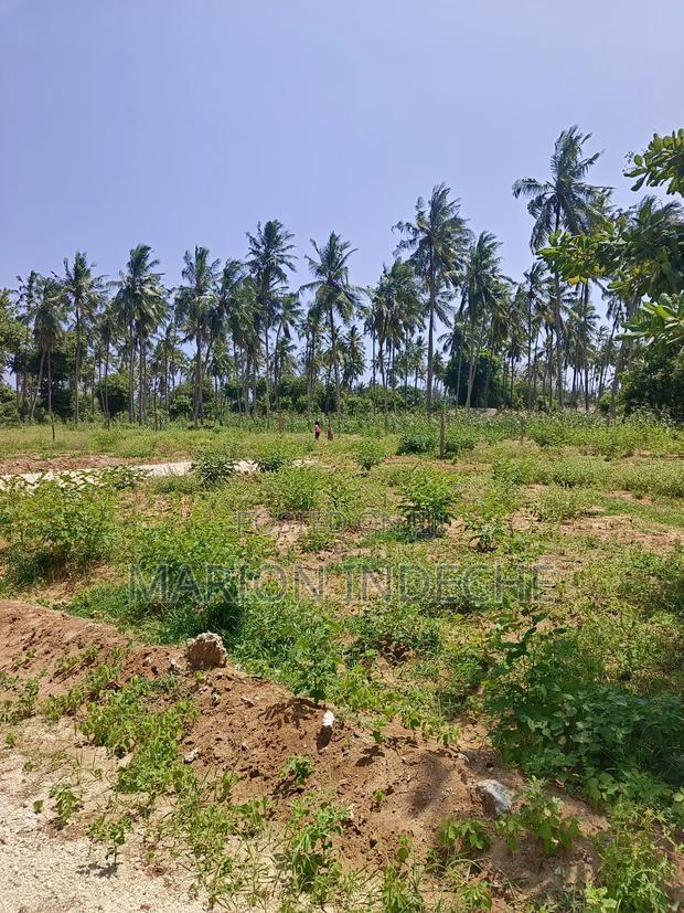 50*100ft Plots for Sale in Kilifi Tezo