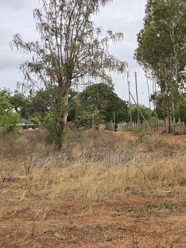 Kilifi Fedha Estate 50x100ft Plots for Sale