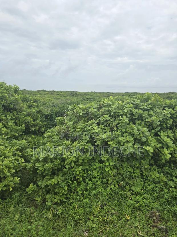4 Acres Touching the Beach in Kilifi Chumani