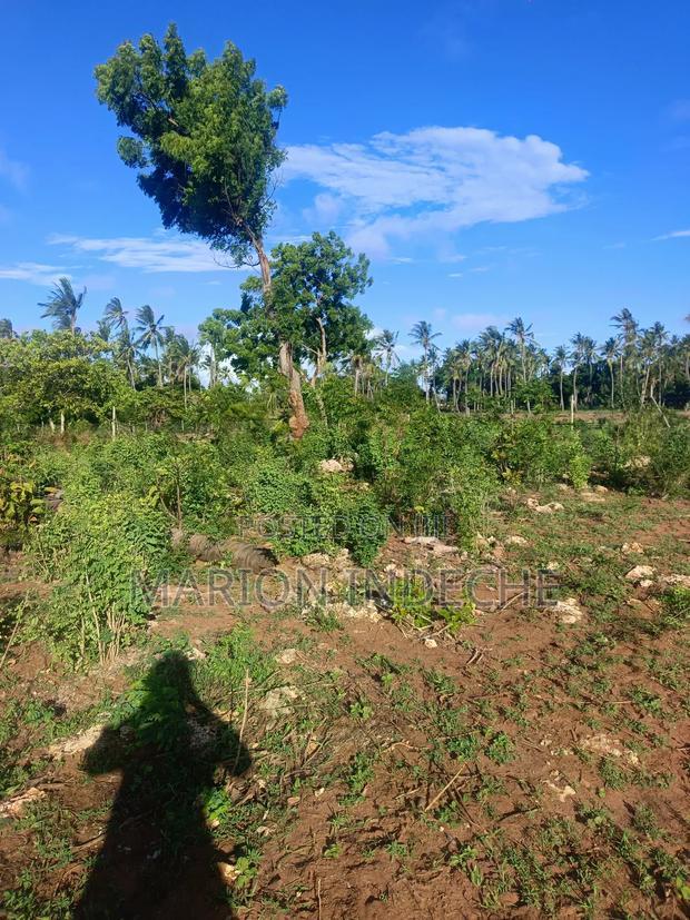 Own Prime 50*100 Plots for Sale in Kilifi