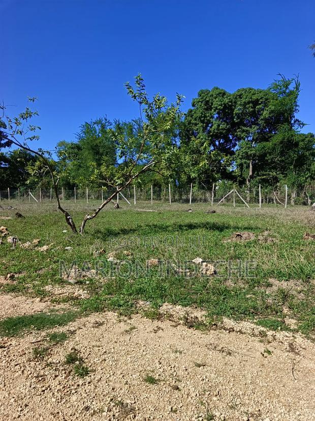 Prime 50*100ft Plots for Sale in Mtwapa
