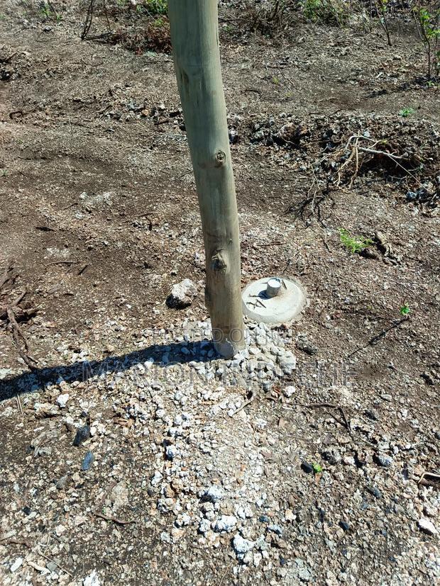 1/8th Acre Prime Plots for Sale in Kilifi Tezo