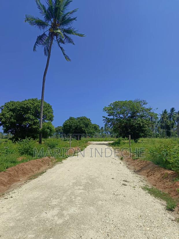 50*100ft Plots for Sale in Kilifi Tezo