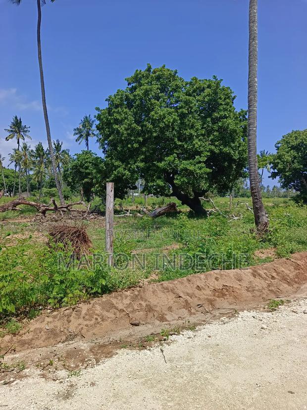 50*100ft Plots for Sale in Kilifi Tezo