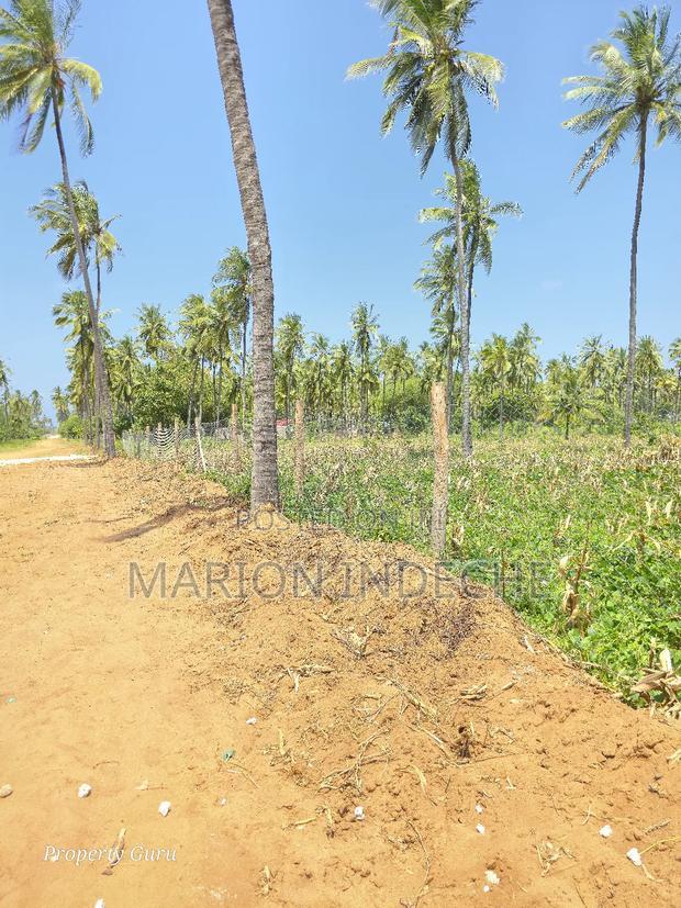 Prime 50by100ft Plots for Sale Located 1km From the Beach